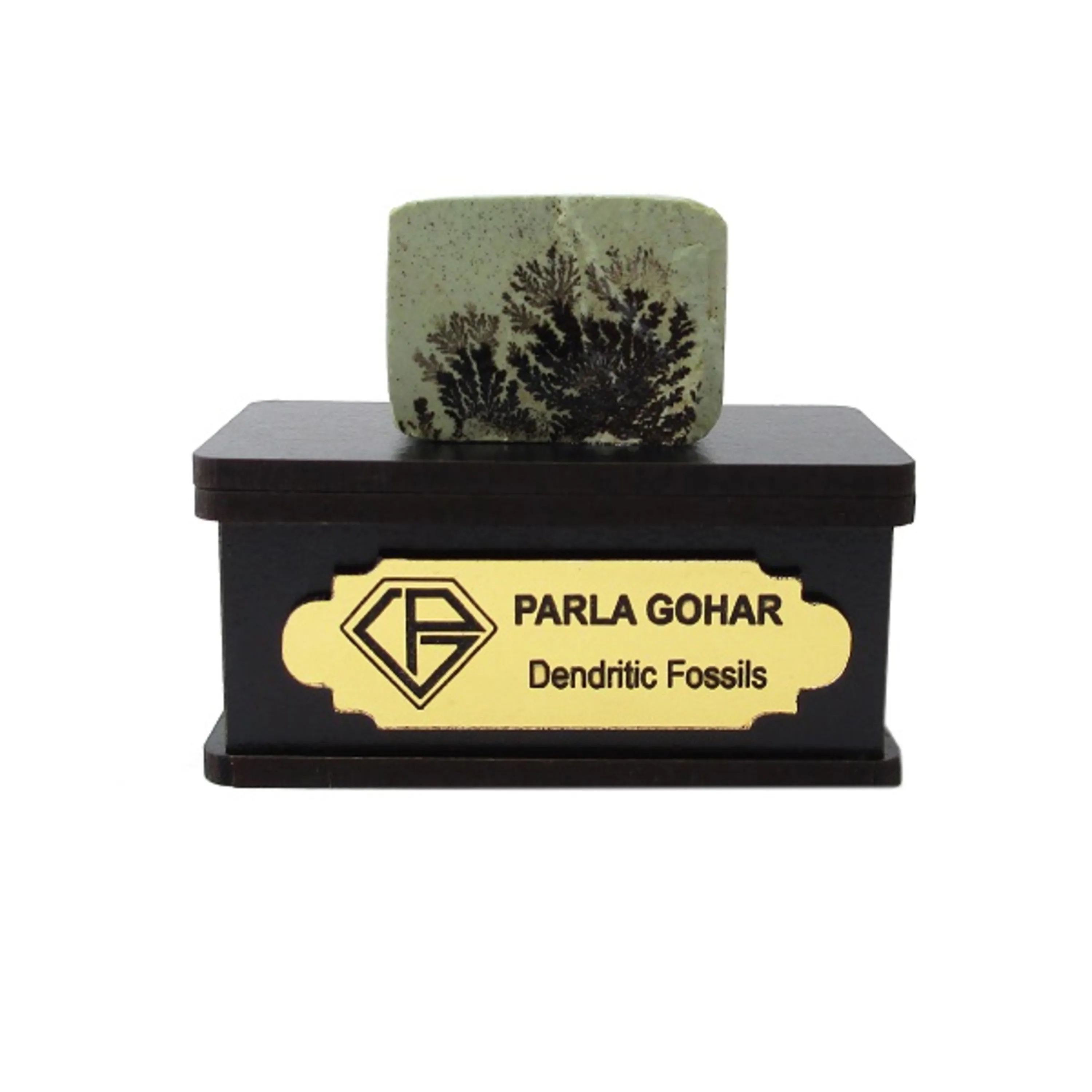 دندریتی  2205